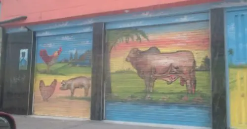 EXPENDIO DE CARNES FINAS CALLE 58 78F CON 22 EXPENDIO DE CARNES FINAS CALLE 58 78F CON 22